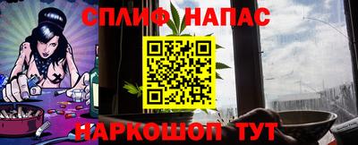 МДПВ Обнинск