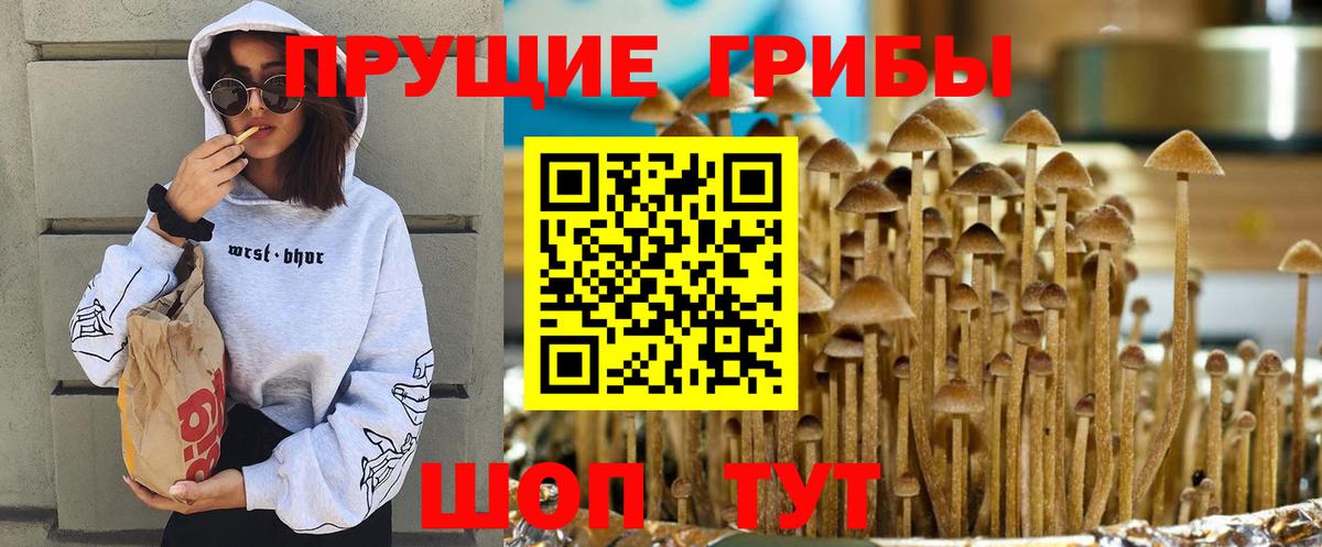 Псилоцибиновые грибы прущие грибы Ухта
